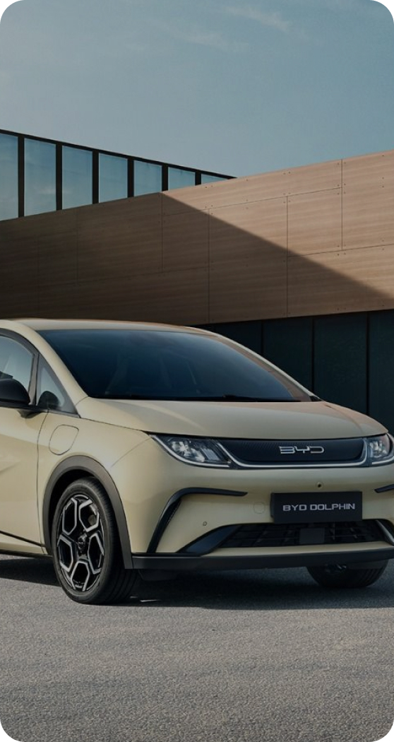 BYD Hatchback Dolphin Standard Range