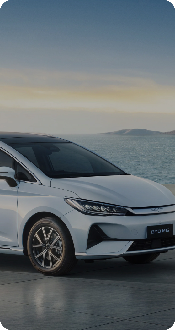 BYD MPV M6 Standard Range